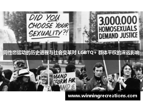 同性恋运动的历史进程与社会变革对 LGBTQ+ 群体平权的深远影响